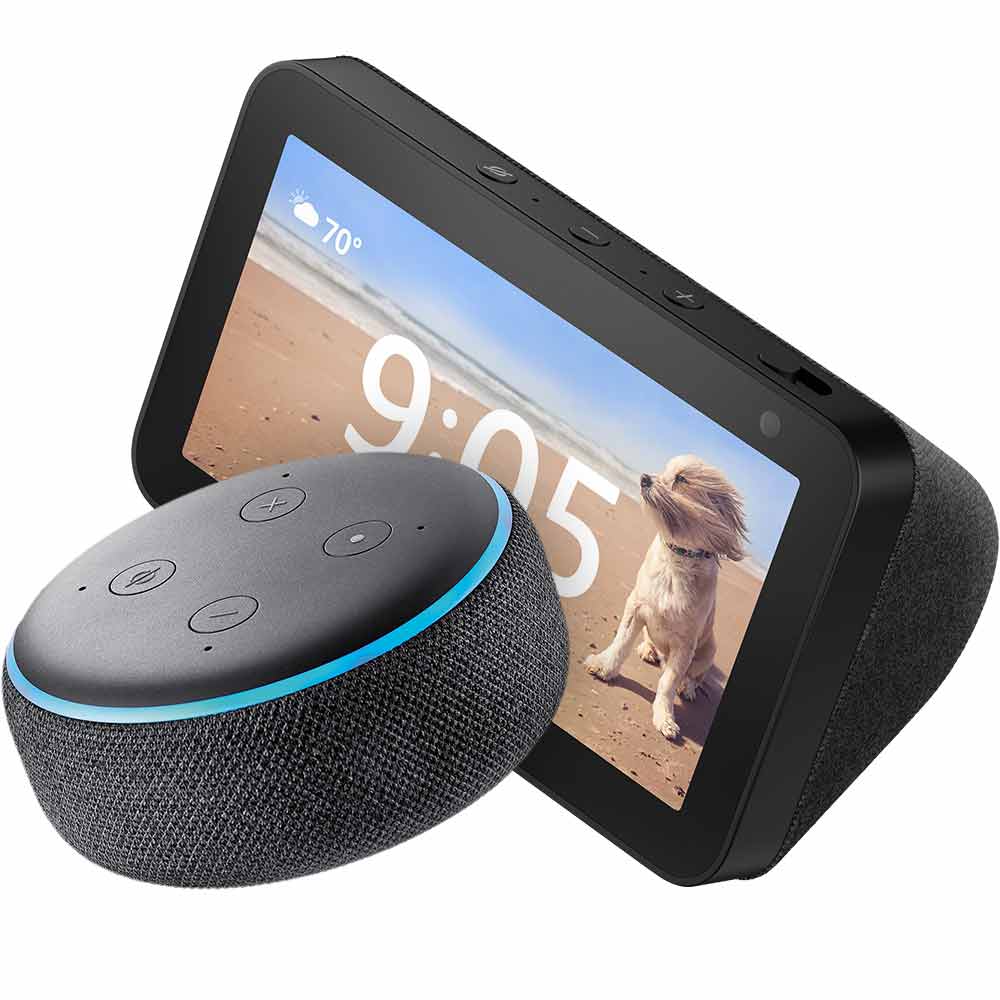 google echo best buy